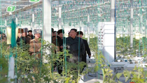 Kim Jong-un wohnt Raketentest nicht bei und startet grüne Offensive