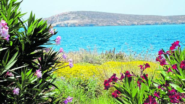 Paros: Urlaub mit Sturmfrisur auf der griechischen Insel