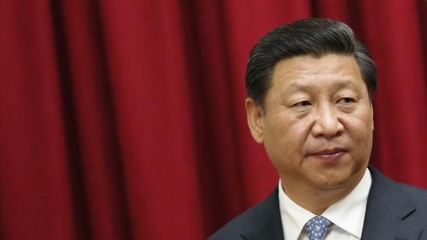 Xi Jinping, Chinas neuer Kaiser