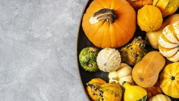 Verschiedene Kürbisse und Zierkürbisse liegen in einer dunklen Schale.