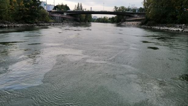 Großflächige Verschmutzung durch Diesel im Donaukanal