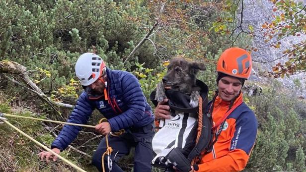 Bergretter und die gerettete Hündin „Pupi“: Das Tier dürfte sich bei dem Unfall nur leicht verletzt haben.