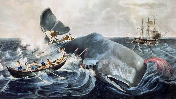 Moby Dick wird 170: Ein Wal schreibt Geschichte