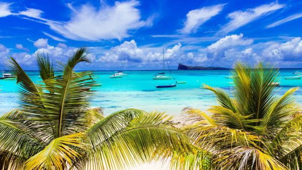 Palmen säumen einen tropischen Strand mit türkisfarbenem Wasser und Booten.