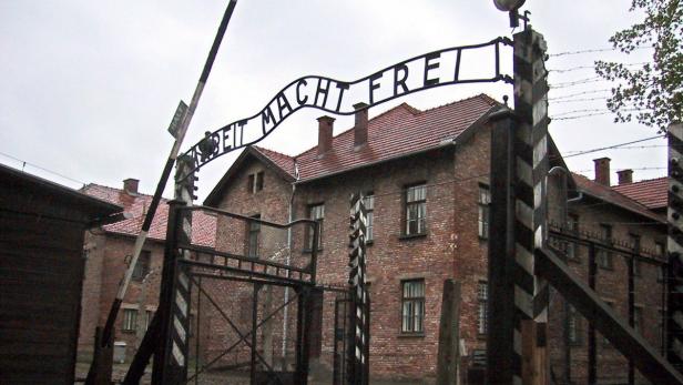 Auschwitz-Häftlinge: Keine Zeit für nationale Egoismen