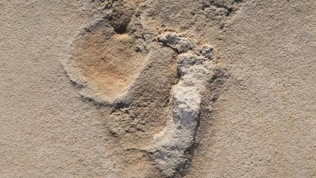 Die ältesten Fußspuren eines Vormenschen stammen doch nicht aus Afrika