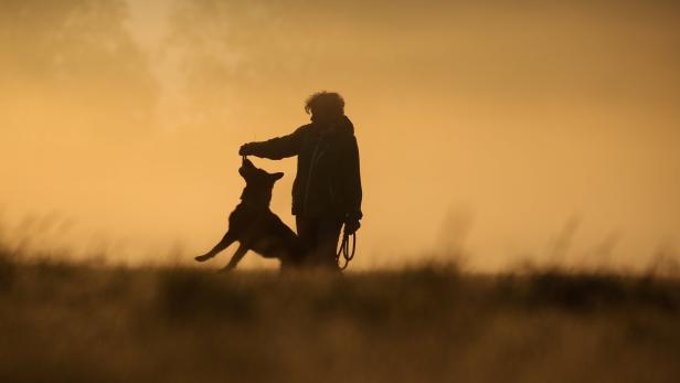 Hund nach fünf Tagen aus Felsspalte gerettet