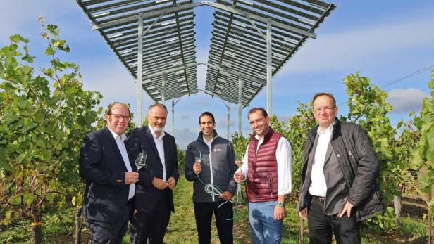 Fotovoltaik im Weingarten als Schutz vor Unwetter und Frost