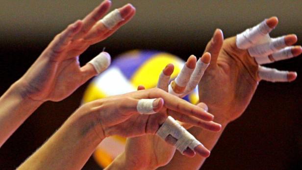 Handarbeit: Die hotVolleys stellen mit den Herren von Bisamberg ein Team für die erste Liga.