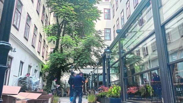 Durchgang Mariahilfer Straße 101: Pflanzen für das neue Lokal „Stadtallee“ werden angeliefert