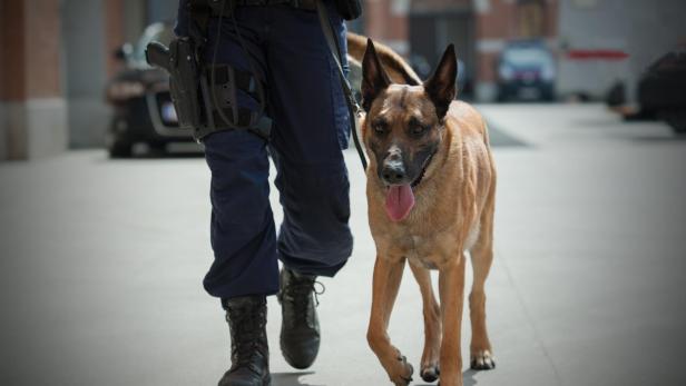 Polizeihund half bei Festnahme von mutmaßlichem Einbrecher
