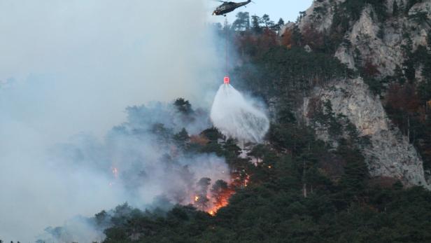 Katastrophe im Raxgebiet: Wald wird nach Inferno "hitzeresistent“