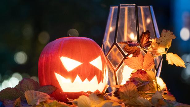 Halloween: Die besten Grusel-Events in Wien