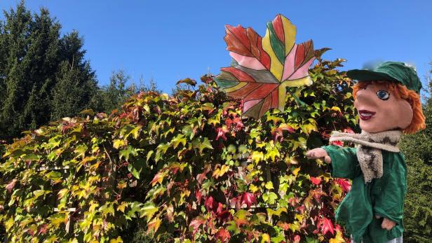 Herbstblätter – imposante Bilder der Natur
