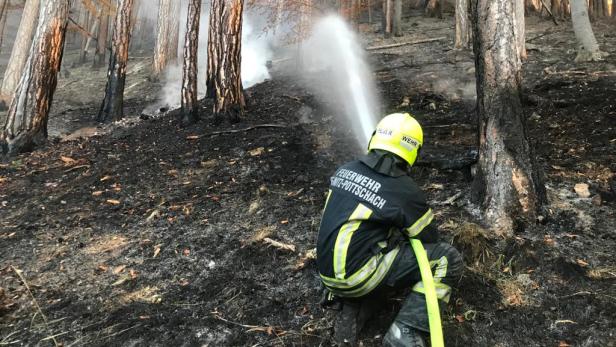 Waldbrand in NÖ: "Brand aus" am Samstag verkündet