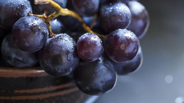 Süß und g'schmackig: Weintrauben machen Lust auf den Herbst