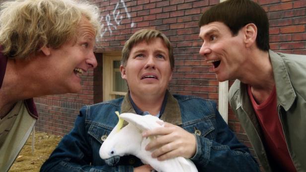 Szene mit Jim Carrey, Jeff Daniels und Brady Bluhm aus „Dumm und Dümmer 2“, wobei Bluhm einen Kakadu hält.