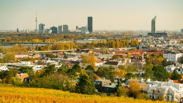 Blick über Wien mit Weinbergen im Vordergrund und der Donau im Hintergrund.