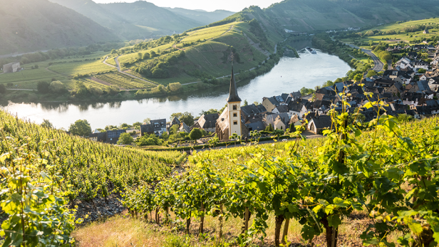 Blick auf den Bremmer Calmont