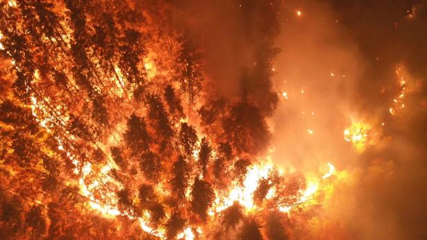 Klimawandel und brennende Akkus: Was die Feuerwehren in Zukunft erwartet
