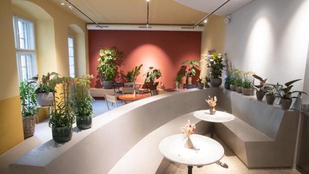 Ein Innenraum mit Tischen, Bänken und vielen Topfpflanzen.