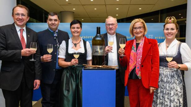 Der St. Pöltner Hauptstadtwein 2022 kommt aus dem Traisental