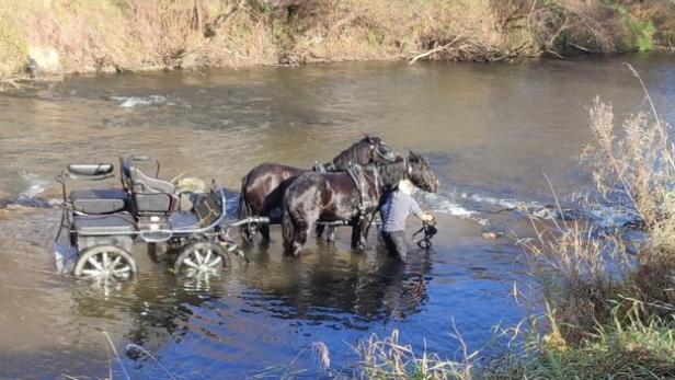 Pferdegespann landete im Südburgenland in Fluss