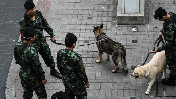 Soldaten in Tarnuniform führen zwei Hunde an der Leine.
