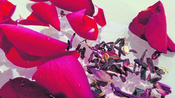 Rote Rosenblätter und Hibiskusblüten schwimmen im Wasser.