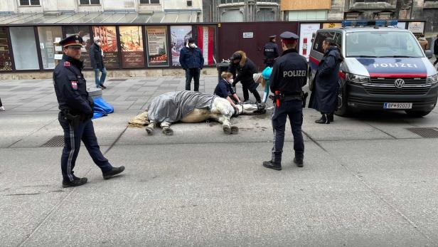 Wieder Zwischenfall mit Fiakerpferd: Stute sackte in Wien zusammen