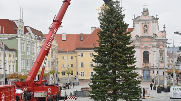 St. Pölten sorgt mit 17 Meter großem Christbaum für Weihnachtsstimmung
