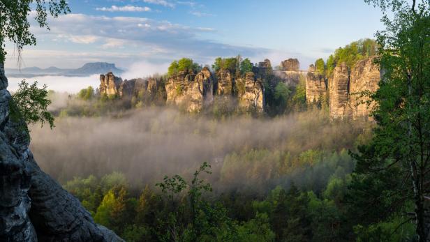 Die Felsen der Bastei ragen im Elbsandsteingebirge aus dem Nebel auf.