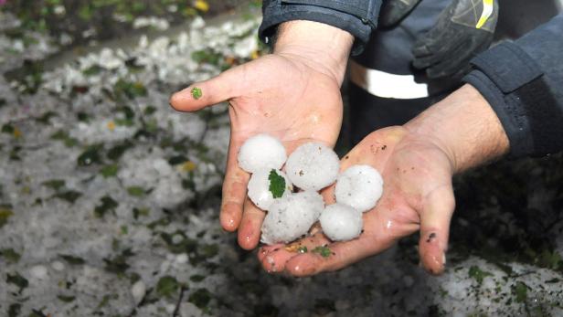 Hagel: 2,7 Millionen Euro Schaden für Bauern