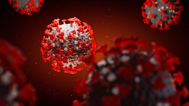 Top-Virologe Krammer leitet neues Virenjäger-Netzwerk