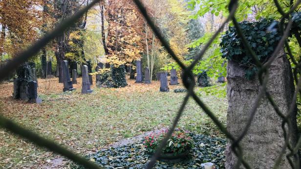 Jüdischer Friedhof in St. Pölten verfällt: Ruf nach Rettung wird lauter