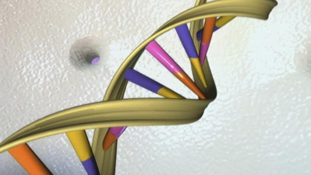 Veränderungen an der Erbsubstanz, der DNA, sind jetzt viel leichter möglich als früher.