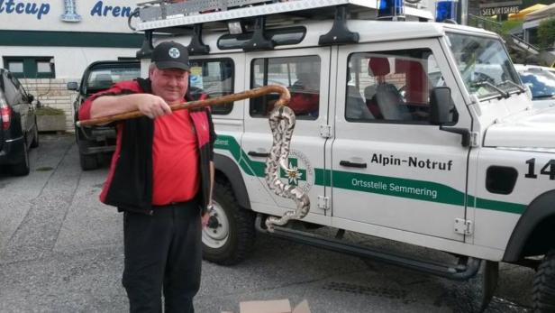 Wo die Pythons hergekommen sind, ist derzeit noch ein Rätsel.