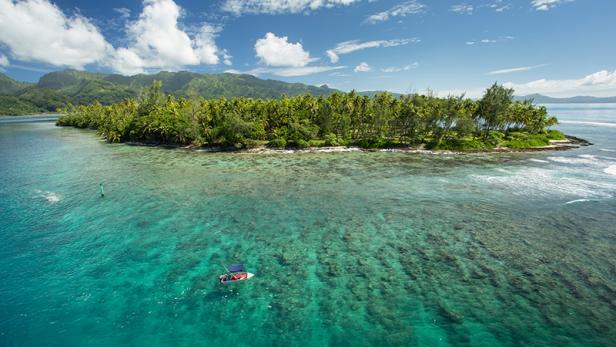 Ein kleines Boot ankert vor einer tropischen Insel mit Palmen und türkisfarbenem Wasser.