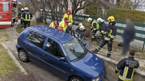 Die Feuerwehr rettete den Lenker und barg das Fahrzeug in Traiskirchen