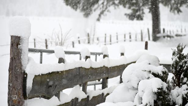 Winter-Einbruch in Österreich: Das sind die schönsten Schneefotos