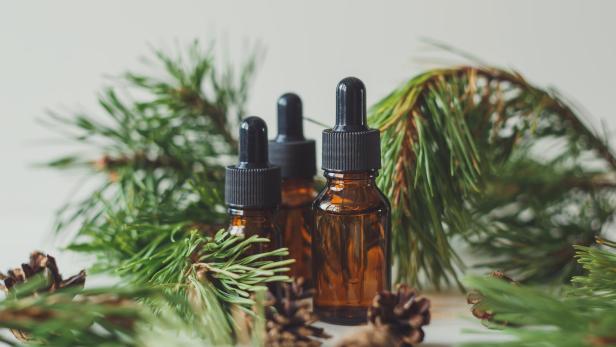 Drei braune Glasflaschen mit Pipetten vor Tannenzweigen und Zapfen.