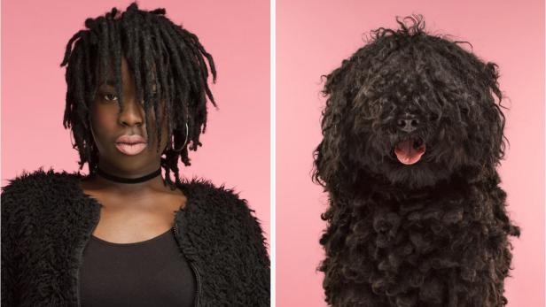 Diese Hunde sehen aus wie ihre Besitzer - oder umgekehrt?