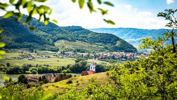 Wachauer Weinjahrgang 2021 glänzt mit perfekter Reife