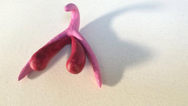 In Frankreich wird diese Klitoris aus dem 3D-Drucker zur Aufklärung verwendet.