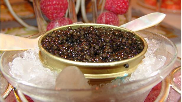 Kaviar aus Österreich: Warum Rotwein und Salzstangerl gut dazu passen