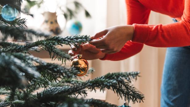 Statt Entsorgung: So essen Sie Ihren Weihnachtsbaum auf