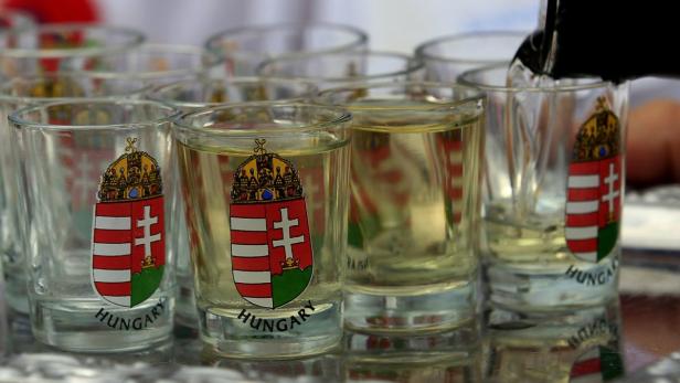 Für Ungarn eine Schnapsidee: Steuern auf selbst gebrannten Palinka