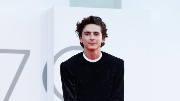 Timothée Chalamet posiert auf dem roten Teppich in einem glitzernden schwarzen Anzug.
