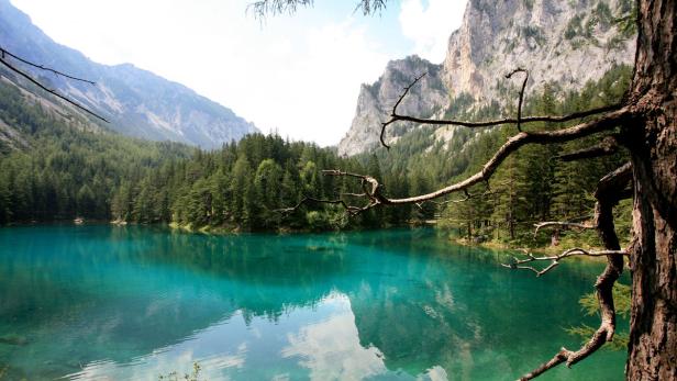Der smaragdgrüne Grüne See in der Steiermark, umgeben von Bergen und Wäldern.