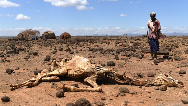 Dürre und Hunger durch den Klimawandel - aber kaum Berichterstattung